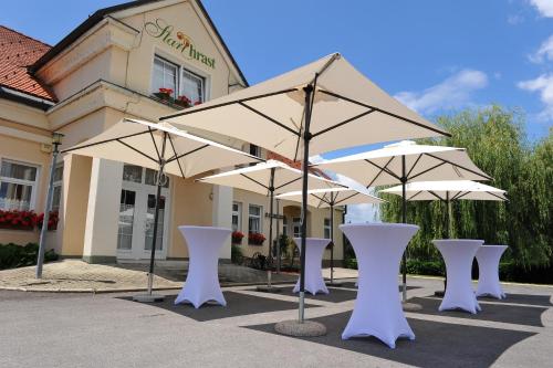 Gostišče - Guest house STARI HRAST Gostišče - Guest house STARI HRAST