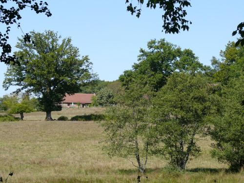 Grande maison limousine authentique, calme garanti gîte à louer Magnac-Bourg