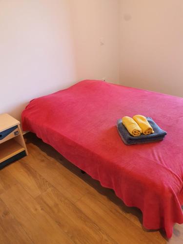 English Club in Corsica B&B 2