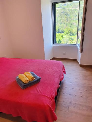 English Club in Corsica B&B 3