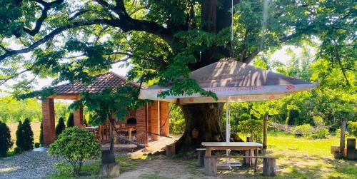 Guesthouse Kamelia in Martvili