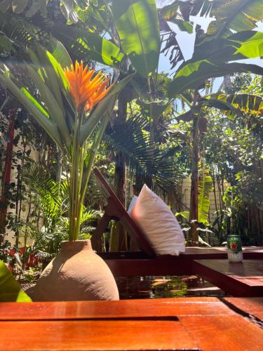 Casa da Beatriz, Trancoso (photo 5)