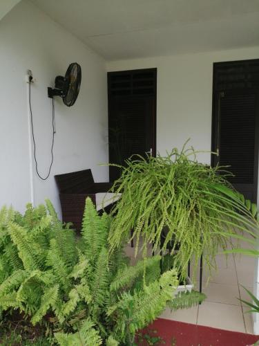 Instalaciones, La Douce Demeure in Matoury