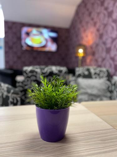 Hotel Boutique Centro BBB Auto check in in Benidorm