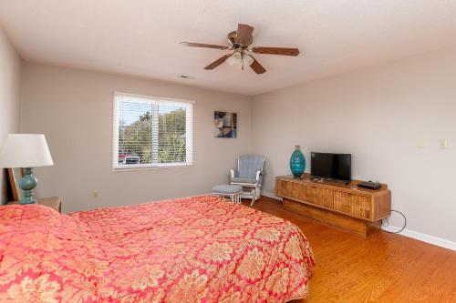 Pet Friendly Oceanfront Basketball Court lots of parking huge kitchen and bar - image 12