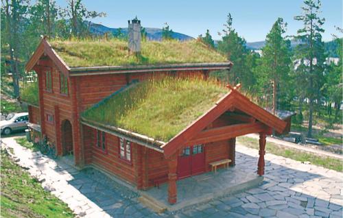 . Amazing home in Tynset with 3 Bedrooms and Sauna