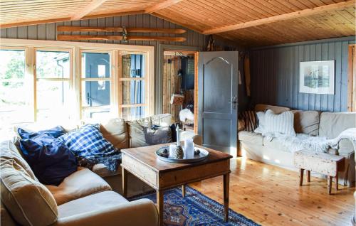 Nice Home In Sjusjøen With Wifi in Sjusjoen