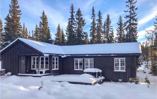 Stunning Home In Sjusjen With Wifi - Sjusjøen