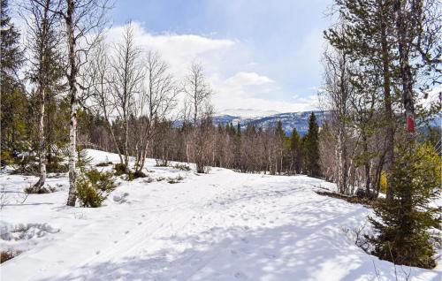 ทัศนียภาพภายนอกโรงแรม, 4 Bedroom Stunning Home In Vinstra in วินสตรา