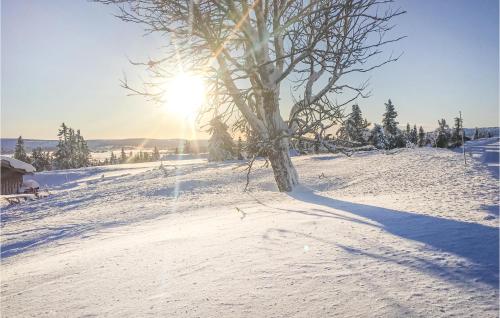 Vista exterior, Leil 70 in Sjusjoen