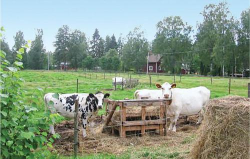 Exterior view, Amazing Home In Hagfors in Hagfors