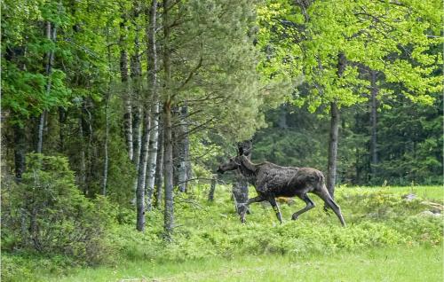 Facilities, 2 Bedroom Pet Friendly Home In Eksharad in Framnäs