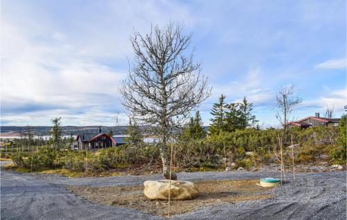 المنظر الخارجي, 3 Bedroom Amazing Home In Sjusjøen in Sjusjoen