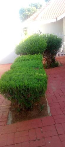 . Lady Self Catering Apartment