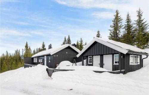 . 4 Bedroom Gorgeous Home In Sjusjøen