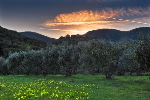 Podere Le Cortine