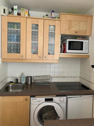 APPARTEMENT COSY ET ENSOLEILLÉ REBERTY 2000 VUE MONTAGNE (APPARTEMENT COSY ET ENSOLEILLE REBERTY 2000 VUE MONTAGNE) in Saint Martin de Belleville