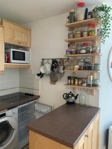 APPARTEMENT COSY ET ENSOLEILLÉ REBERTY 2000 VUE MONTAGNE (APPARTEMENT COSY ET ENSOLEILLE REBERTY 2000 VUE MONTAGNE) in Saint Martin de Belleville