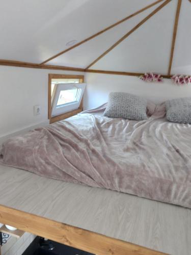 Tiny House Dezmir, Sînnicoară (zdjęcie 7)