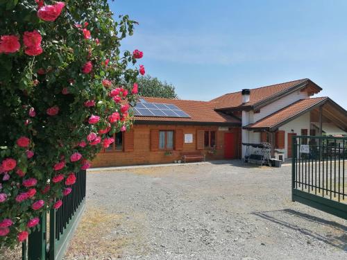 Agriturismo bio Apipoli - Colverde