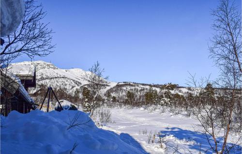 ทัศนียภาพ, Cozy Home In Hovden I Setesdal in โฮว์เดิน
