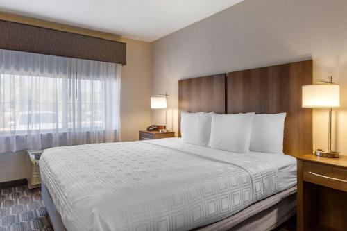 Best Western North Phoenix Hotel