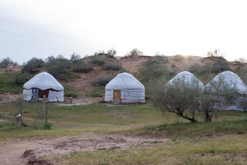 Kyzylkum Safari Yurt Camp in Nurota