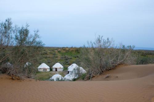 Kyzylkum Nights Camp & Family Yurt in Nurota
