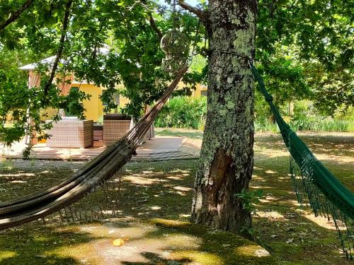 Pubi/sohvabaar, Casa Das Palmeiras-Pedagogic Farm in Mangualde
