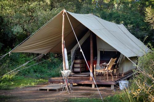 Ronde expositie leerling Quatermain's 1920's Safari Camp in Amakhala Game Reserve, South Africa - 70  reviews, price from $330 | Planet of Hotels