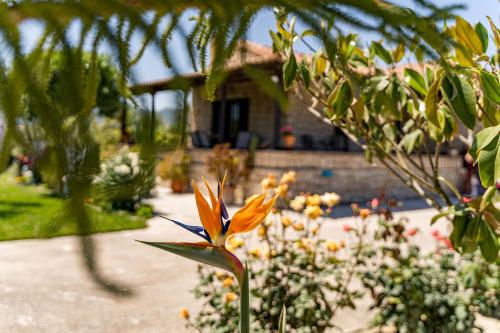 Varta Village – Zakynthos, SC