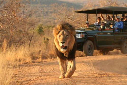 Makweti Safari Lodge