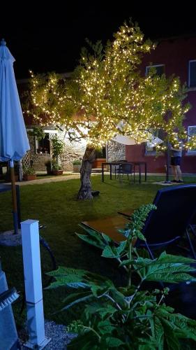 Agriturismo Basegò - image 6