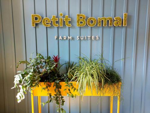 Les Suites de Petit Bomal