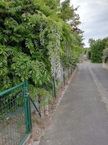 Maison familiale sur la CÔTE D’ÉMERAUDE