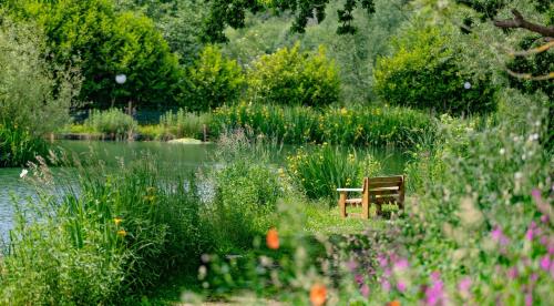 Lloyds Meadow Glamping