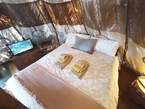 Studio Mazo The Glamping 2