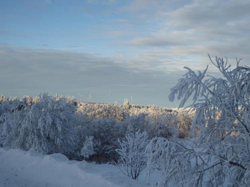 Maison à Saint-Nicolas des Biefs (Maison a Saint-Nicolas des Biefs) in Saint Nicolas Des Biefs