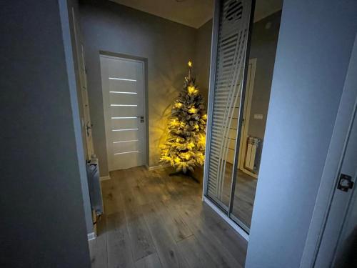 Чотири стихії (Чотири стихіі) in 米茲希利亞