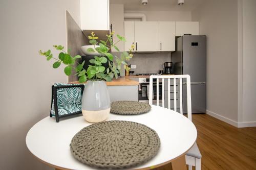 Konyha, Apartament Willa Lniana near Zielona Góra-Babimost repülőtér