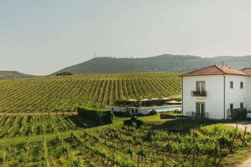 Casa das Pipas / Quinta do Portal - image 11