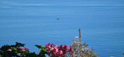 B&B Aria di Mare - Pollina Sicilia