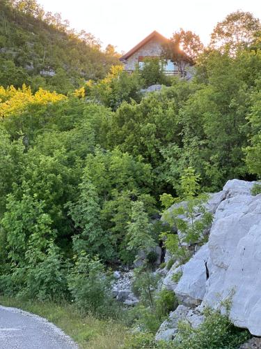 house on the hill, Cetinje (fotografie 7)