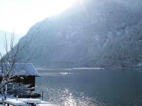 Surrounding environment, Pension Leprich in Bad Goisern
