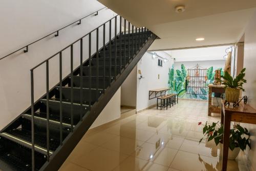 Med la palma, Medellín (fotografie 6)