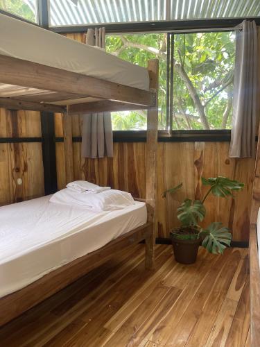 1 bunk bed