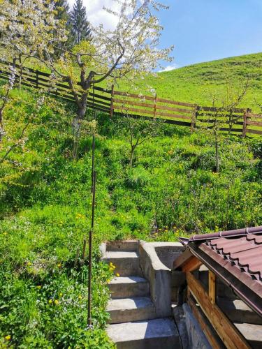 Valea Dorului Guest House