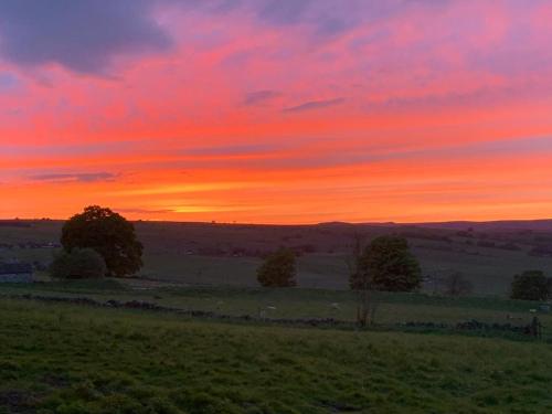 The Queen Anne - image 9