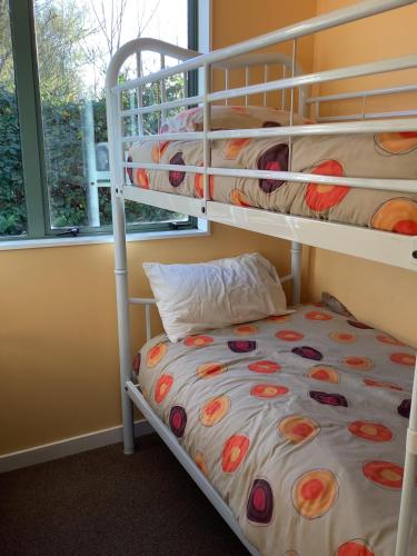 2 bedrooms, 6 beds