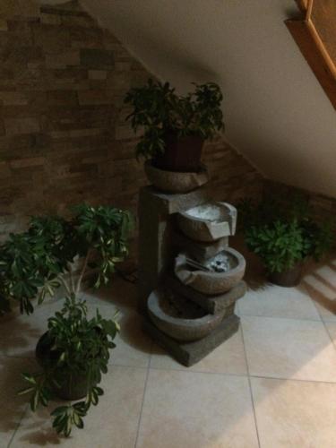 Apartments Kalaja - image 10
